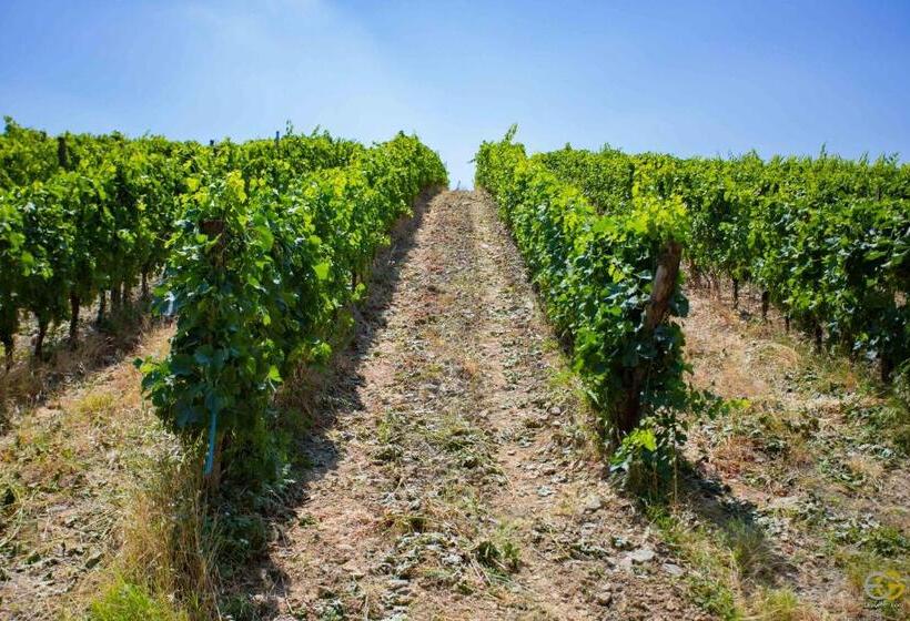 호텔 Terre Di Melazzano   Le Case Di Patrizia