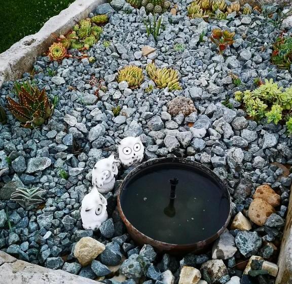 פנסיון Cà Thomas