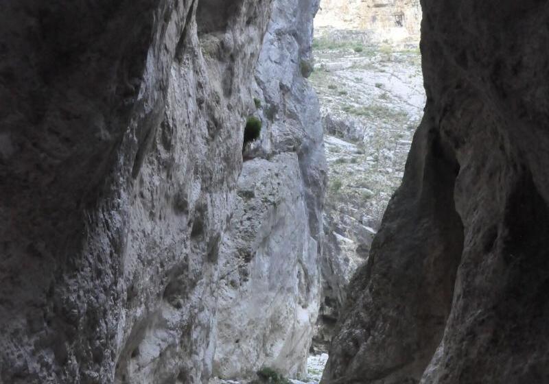 펜션 Da Oreste Affittacamere