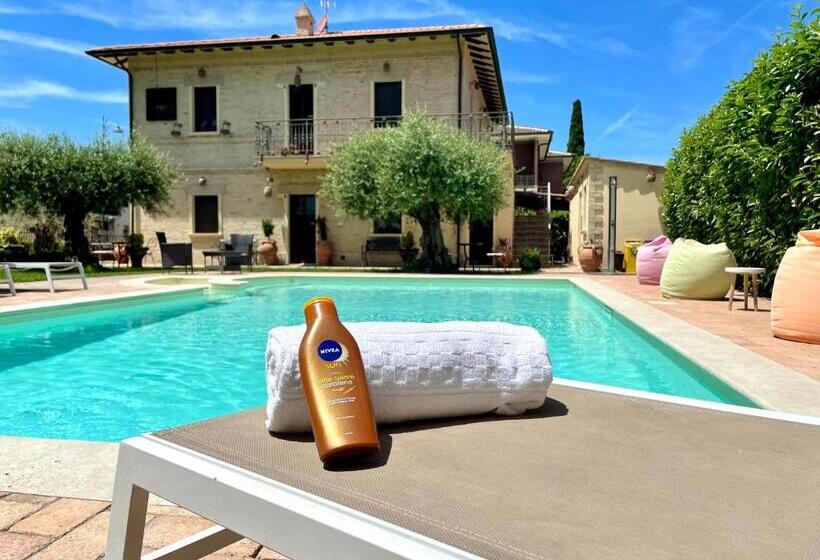 膳宿费 Domus Angeli