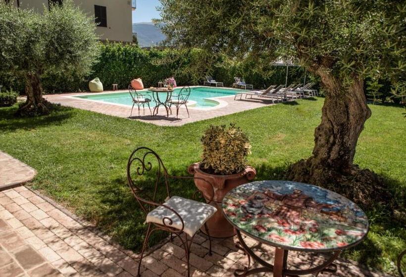 膳宿费 Domus Angeli