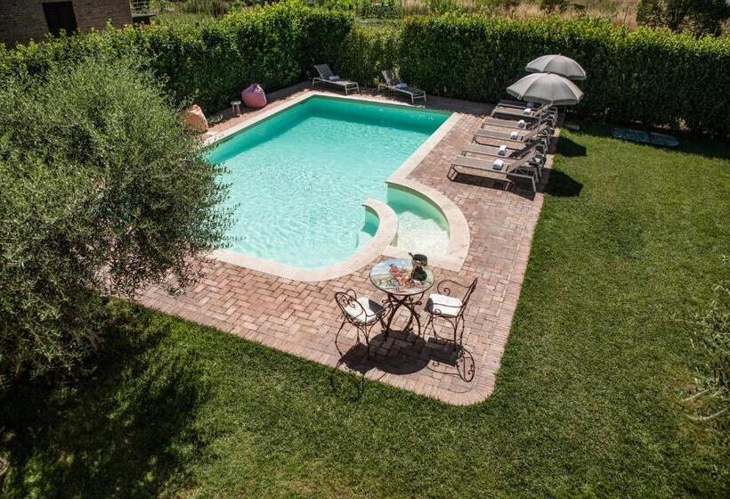 膳宿费 Domus Angeli