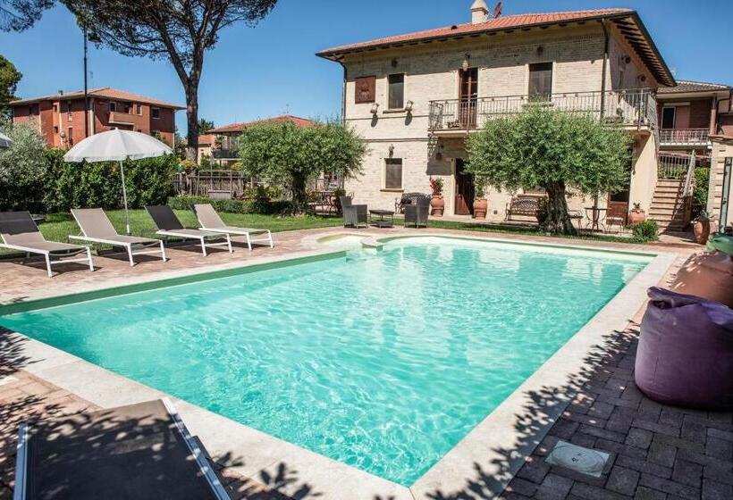 بنسيون Domus Angeli