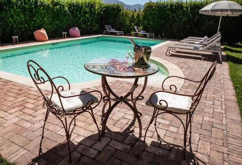 膳宿费 Domus Angeli