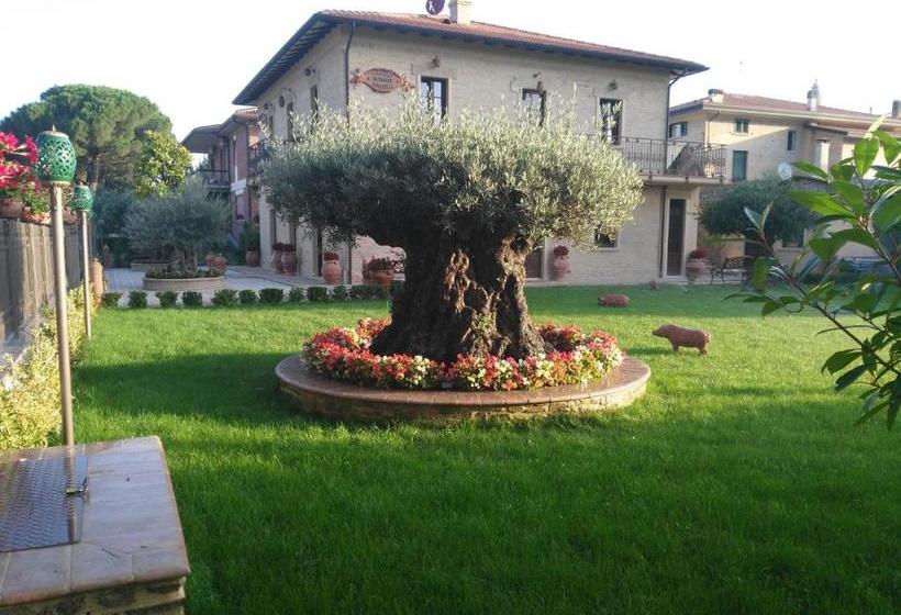 بنسيون Domus Angeli