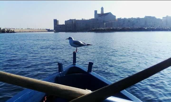 پانسیون Il Da Vinci Casa Vacanze