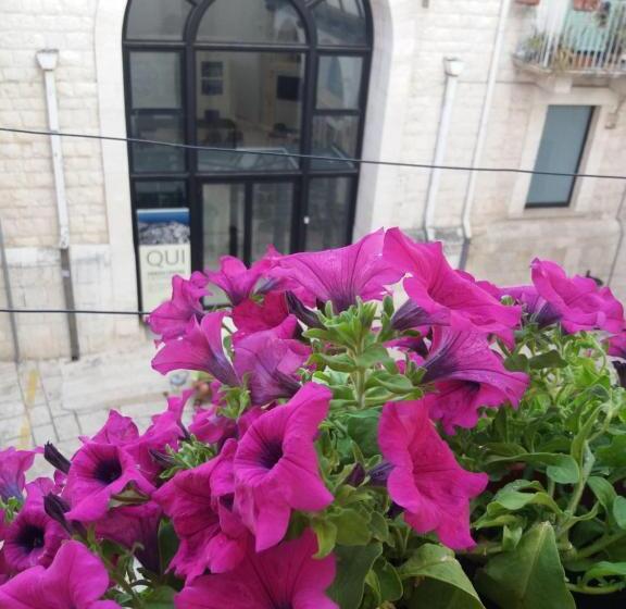 پانسیون Il Da Vinci Casa Vacanze