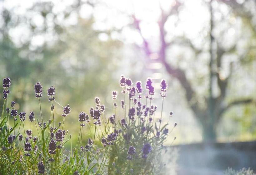 ペンション La Quiete