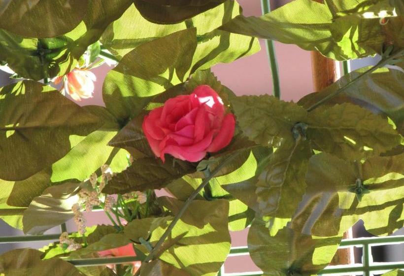 膳宿费 Locanda Del Centro