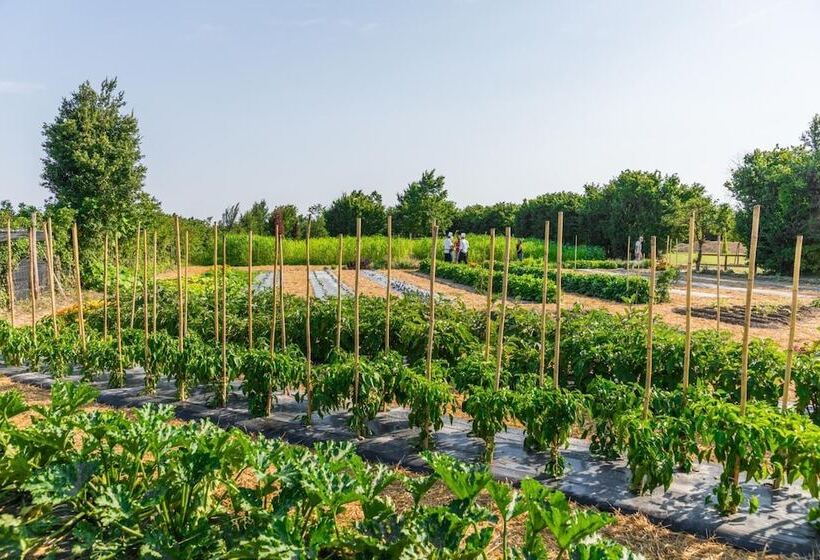 הוסטל La Posa Degli Agri