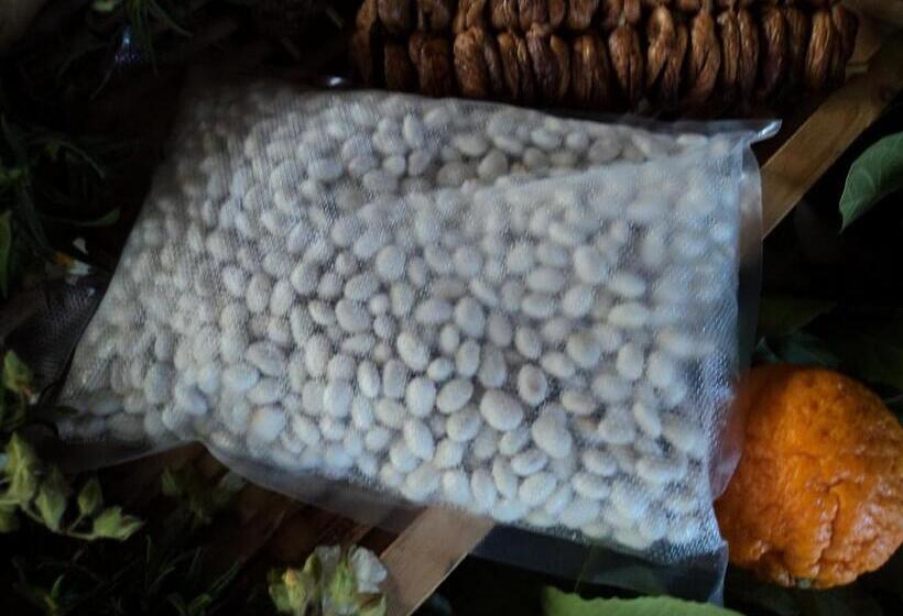 בית מלון כפרי Agriturismo Aurella