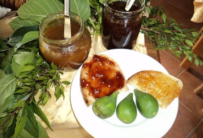 בית מלון כפרי Agriturismo Aurella