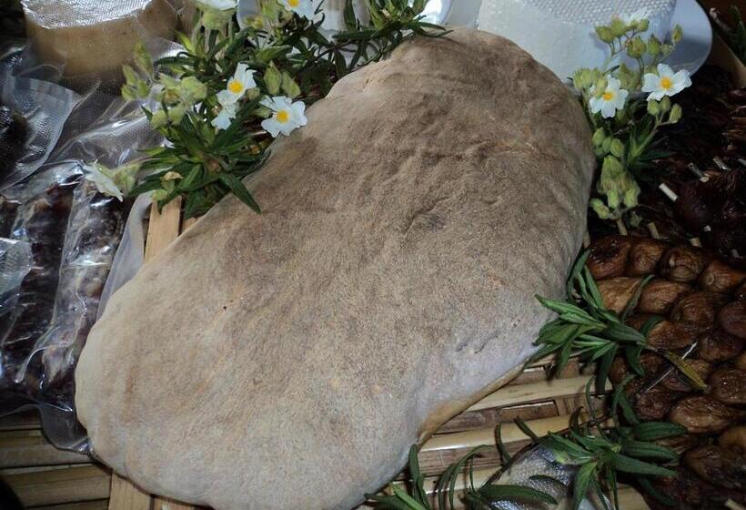 בית מלון כפרי Agriturismo Aurella