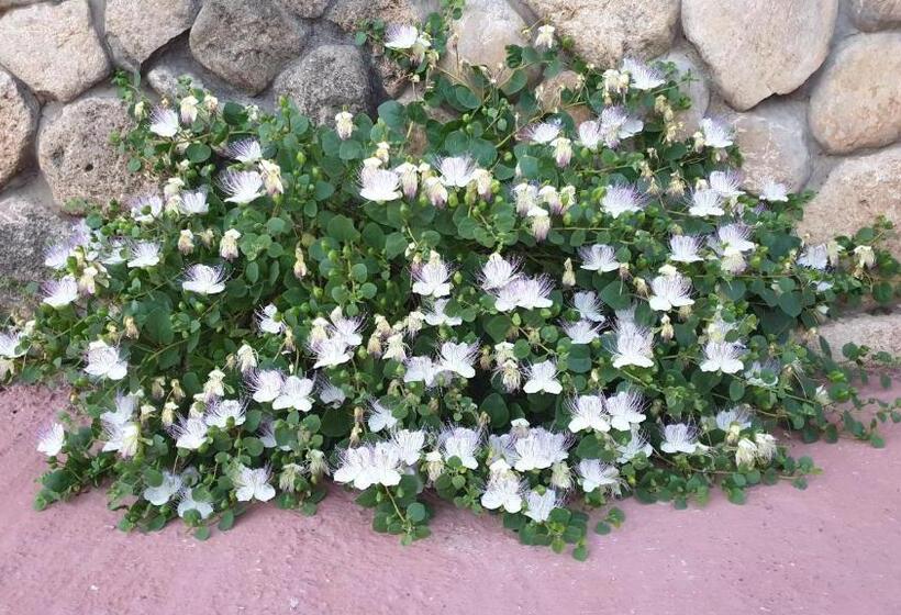 בית מלון כפרי Agriturismo Duca Di San Martino