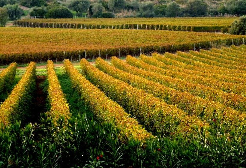 هتل Agriturismo Fattoria Il Casalone