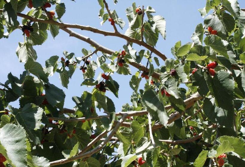 호텔 Agriturismo Finazzo