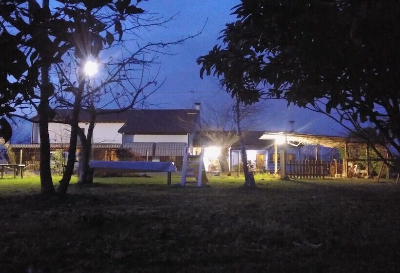 בית מלון כפרי Agriturismo Il Podere Vedelago With Alpaca, Friends And More