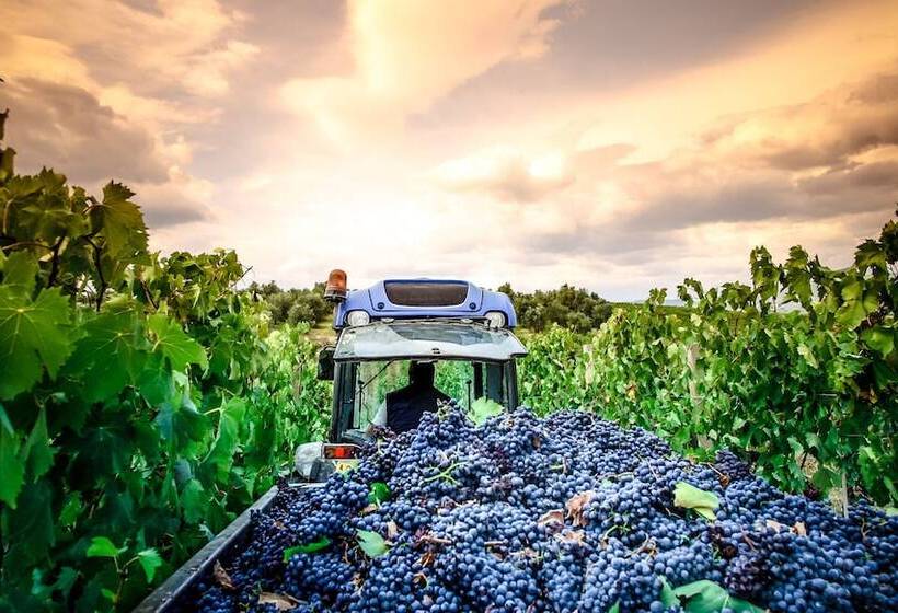 בית מלון כפרי Il Principino Country Resort