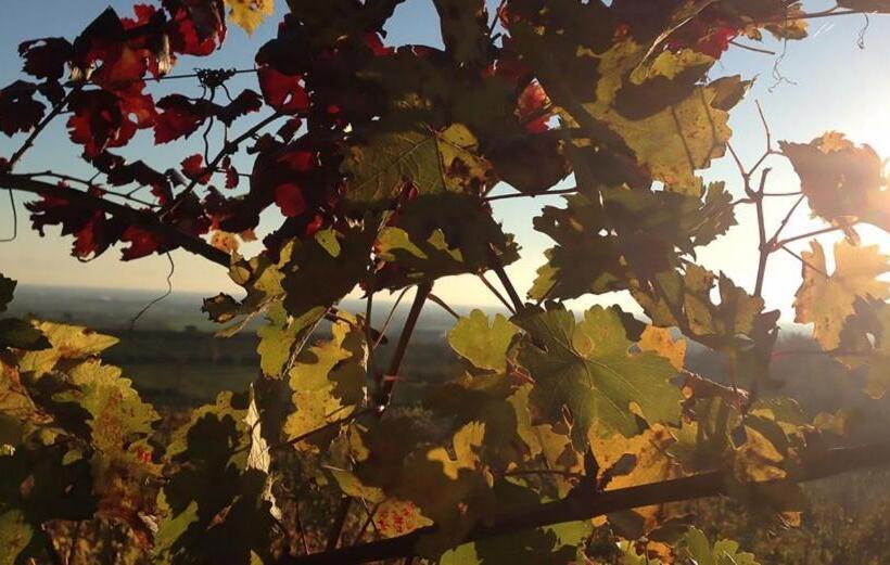 Отель Agriturismo La Torretta Da Valentina