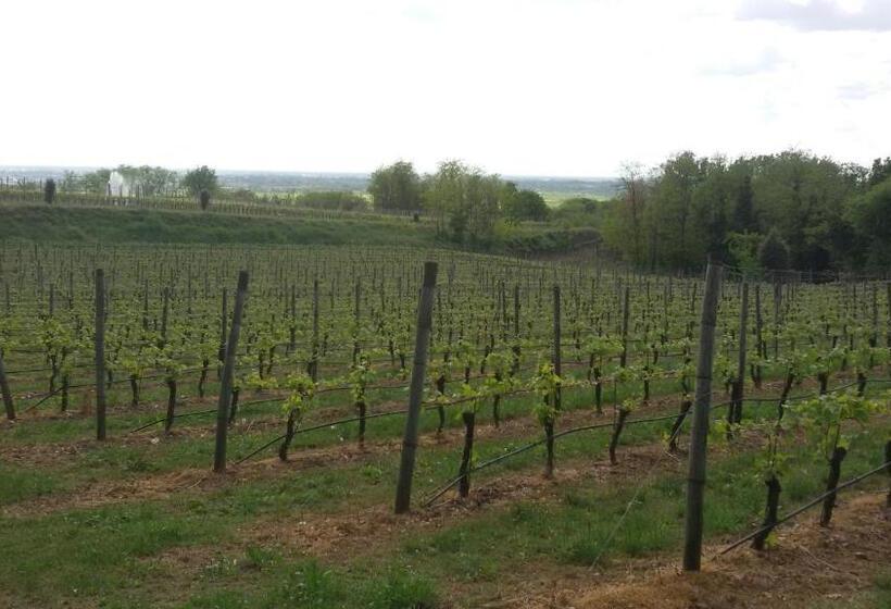 Отель Agriturismo La Torretta Da Valentina