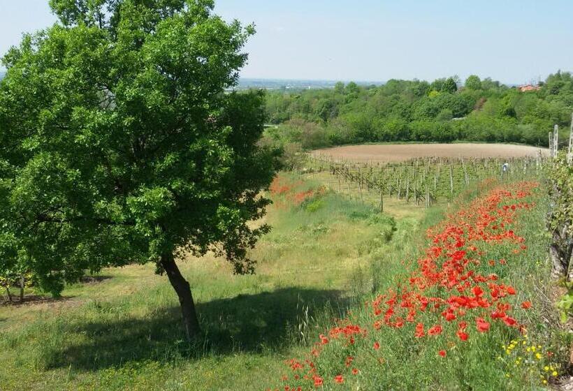 Отель Agriturismo La Torretta Da Valentina