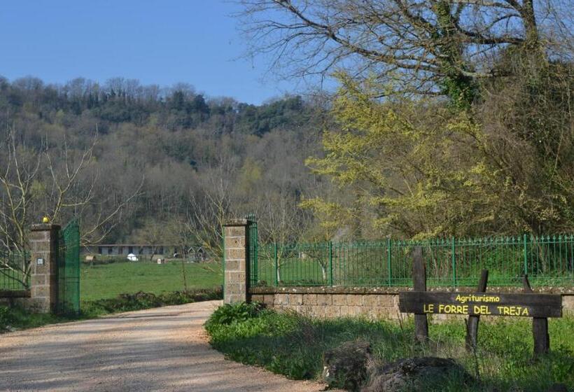 בית מלון כפרי Agriturismo Le Forre Del Treja