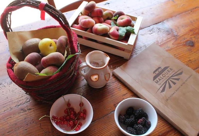 酒店 Agriturismo Maloura