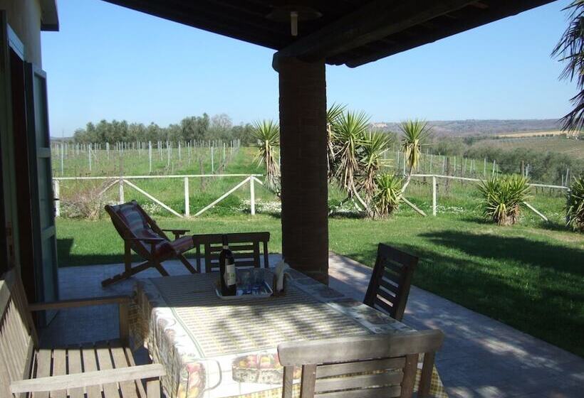 בית מלון כפרי Agriturismo Quartopodere