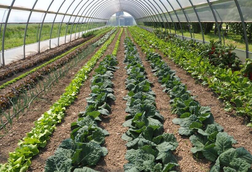 Отель Agriturismo San Giuseppe