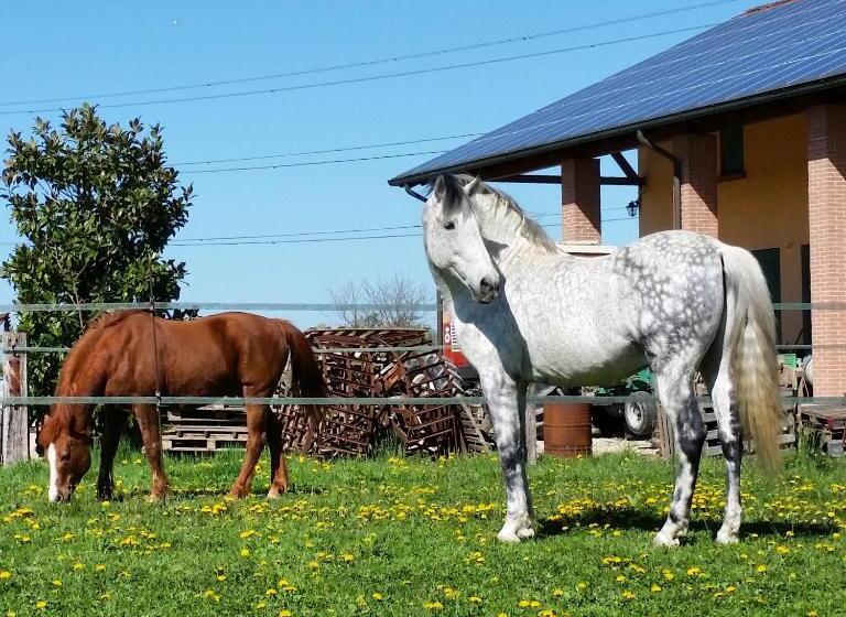 호텔 Agriturismo Santa Barbara