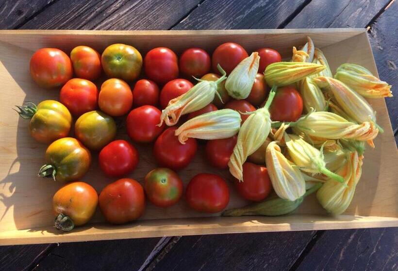 בית מלון כפרי Agriturismo Turudhis