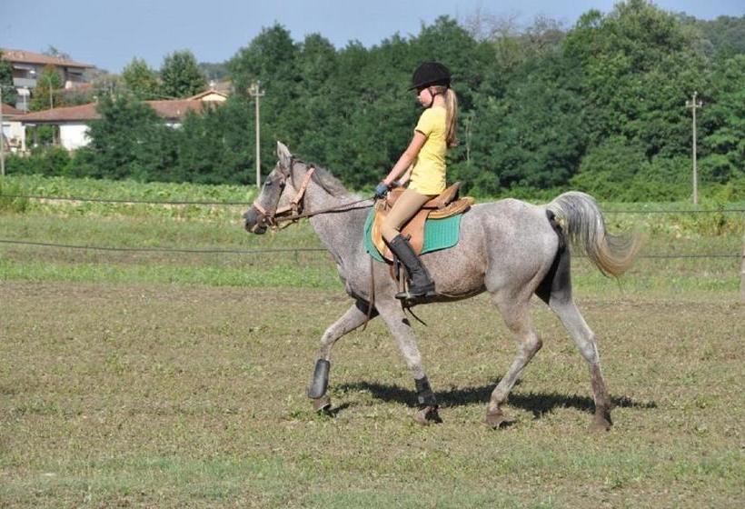 فندق Fattoria Isola