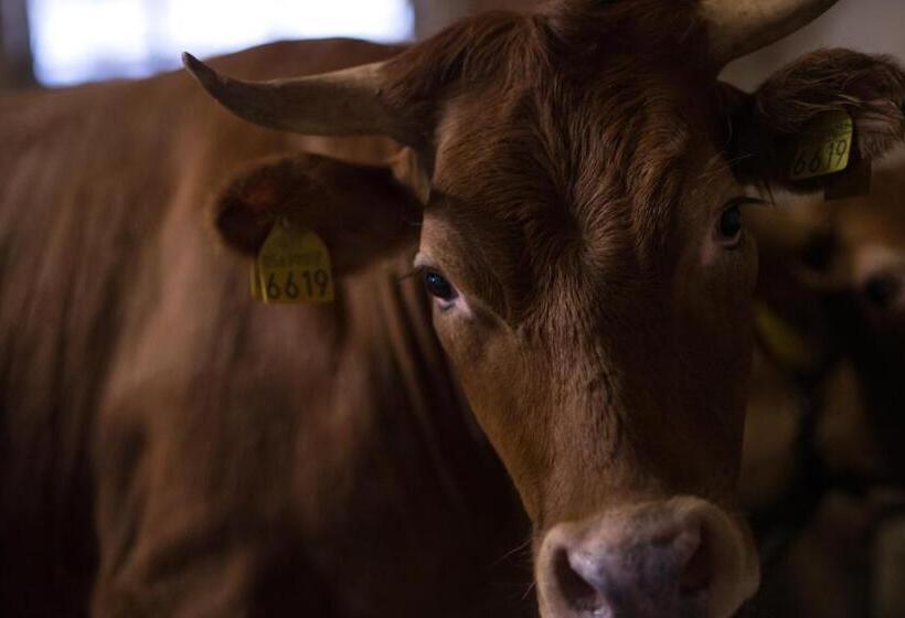 ホテル Il Dosso Agriturismo