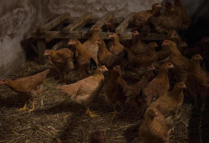 ホテル Il Dosso Agriturismo