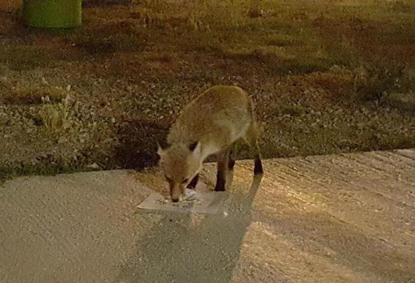 Отель Mama Lina