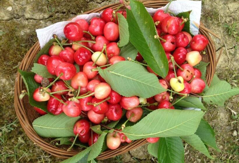 هتل Podere Poggio Mendico