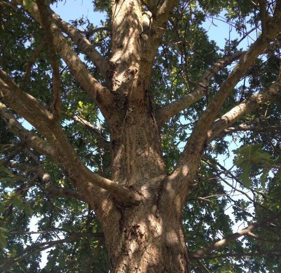 هتل Podere Poggio Mendico