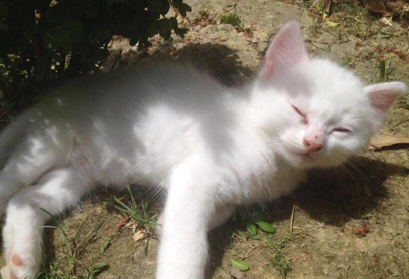 هتل Podere Poggio Mendico