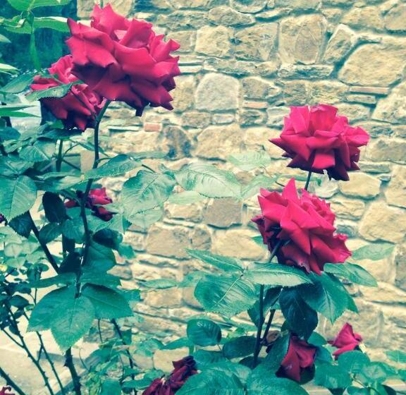 هتل Podere Poggio Mendico