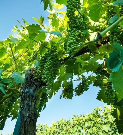 هتل Podere Poggio Mendico