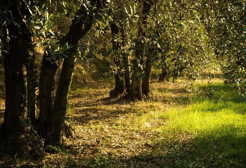 هتل Podere Poggio Mendico