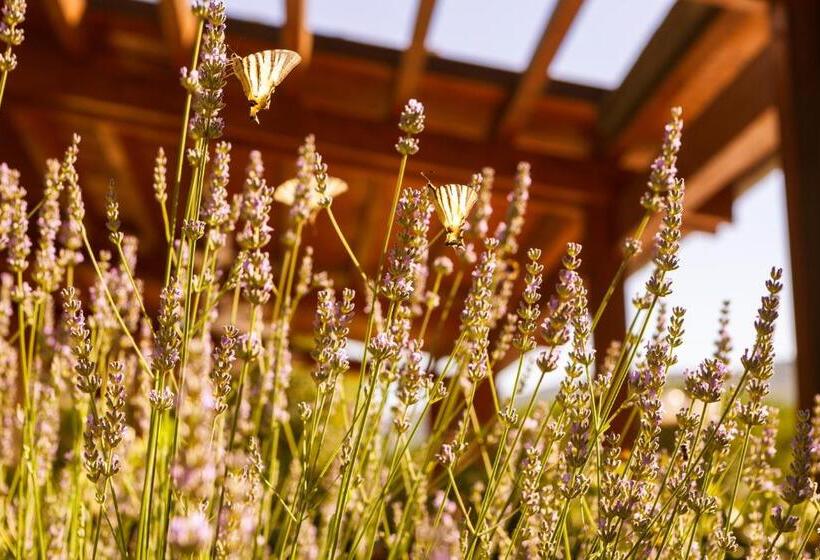 هتل Podere Poggio Mendico