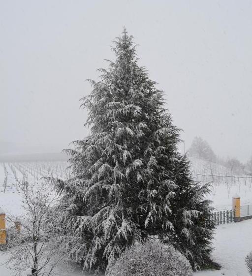 ホテル Tenuta Montebello