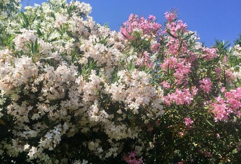 بنسيون Casa Carpe Diem A Villa Barca