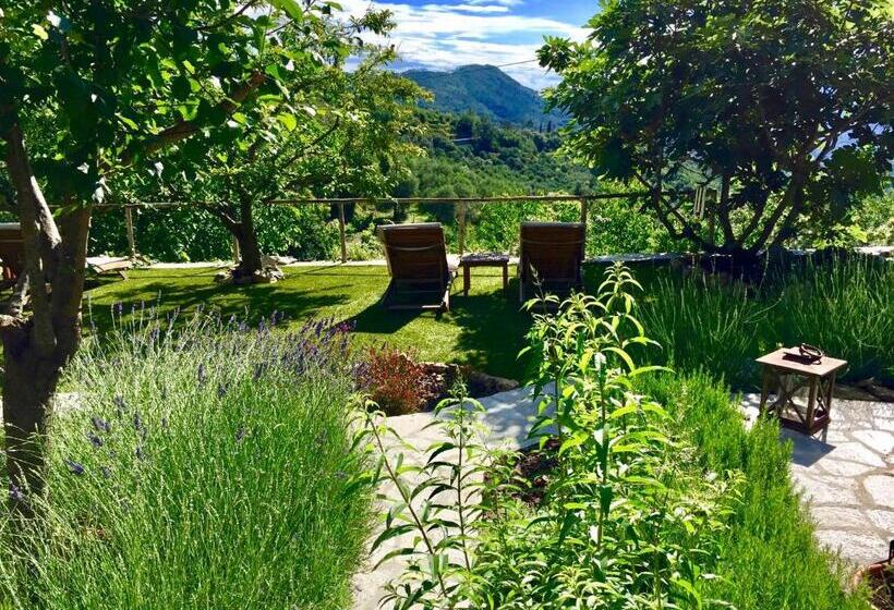 بنسيون Casa Carpe Diem A Villa Barca