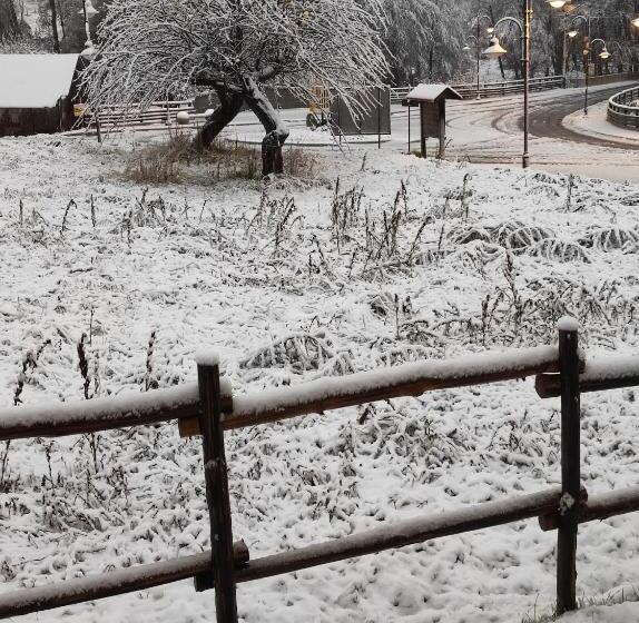 פנסיון Guest House Caracas