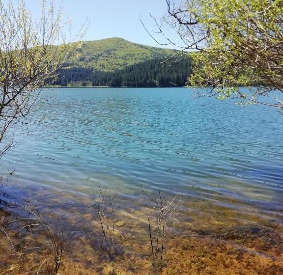 פנסיון Guest House Caracas