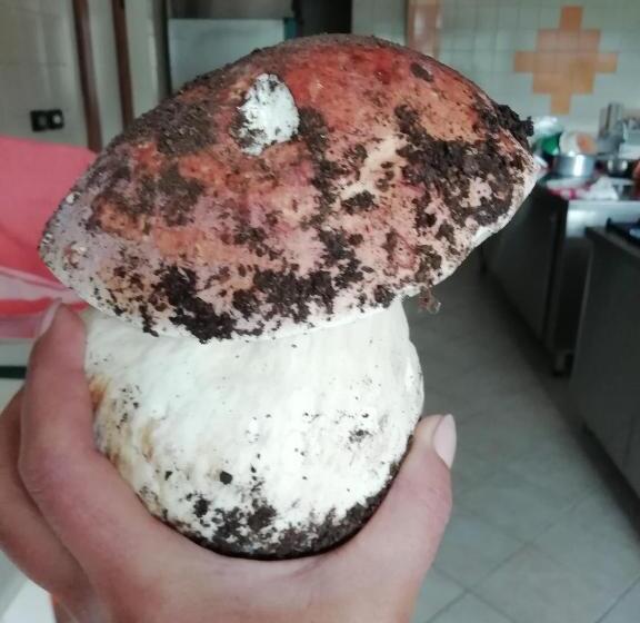 פנסיון Guest House Caracas