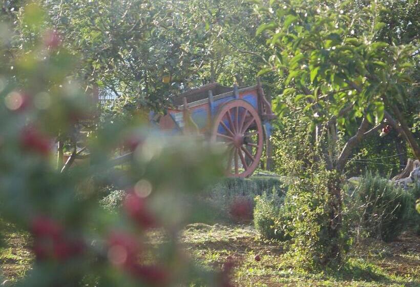 بنسيون La Radice