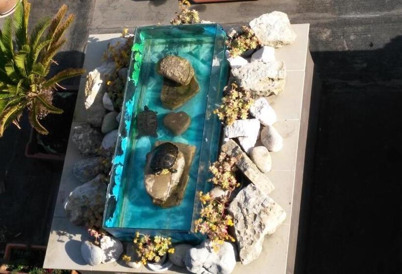 Пансион Mscamere